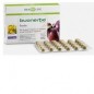 BIOSLINE BUONERBE REGOLA FORTE 60 TAVOLETTE