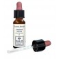 CHERRY PLUM ORIGINAL 10ML GTT