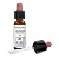 MIMULUS ORIGINAL 10 ML GOCCE