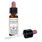 CLEMATIS ORIGINAL 10ML GTT