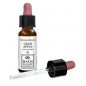 CRAB APPLE ORIGINAL 10ML GTT