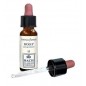 HOLLY ORIGINAL 10ML GTT