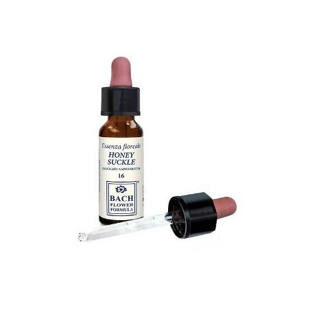 HONEYSUCKLE ORIGINAL 10ML GTT