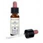 RED CHESTNUT ORIGINAL 10ML GTT