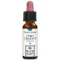 SWEET CHESTNUT ORIGINAL 10ML