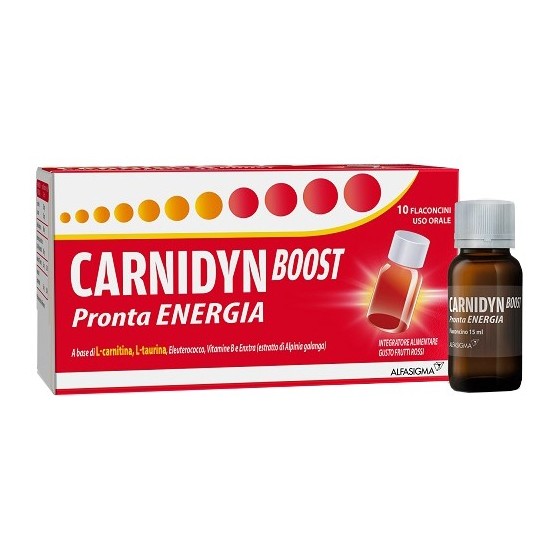 CARNIDYN BOOST 10 FLACONCINI